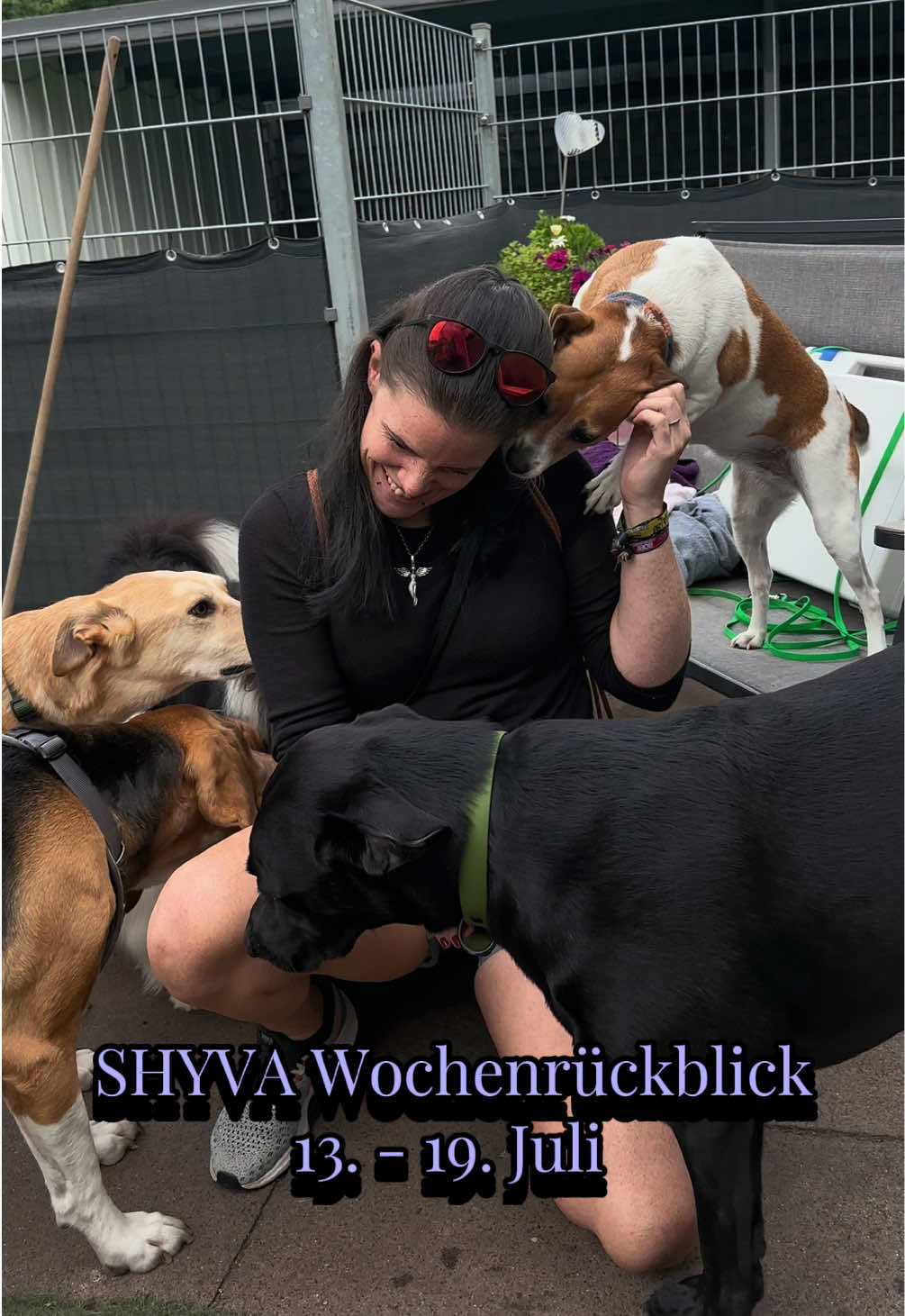 @Shyva Hundezentrum