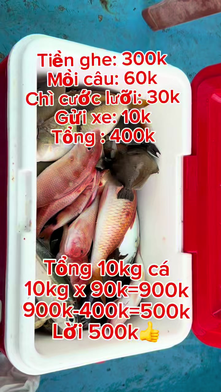 @câu cá Nha Trang