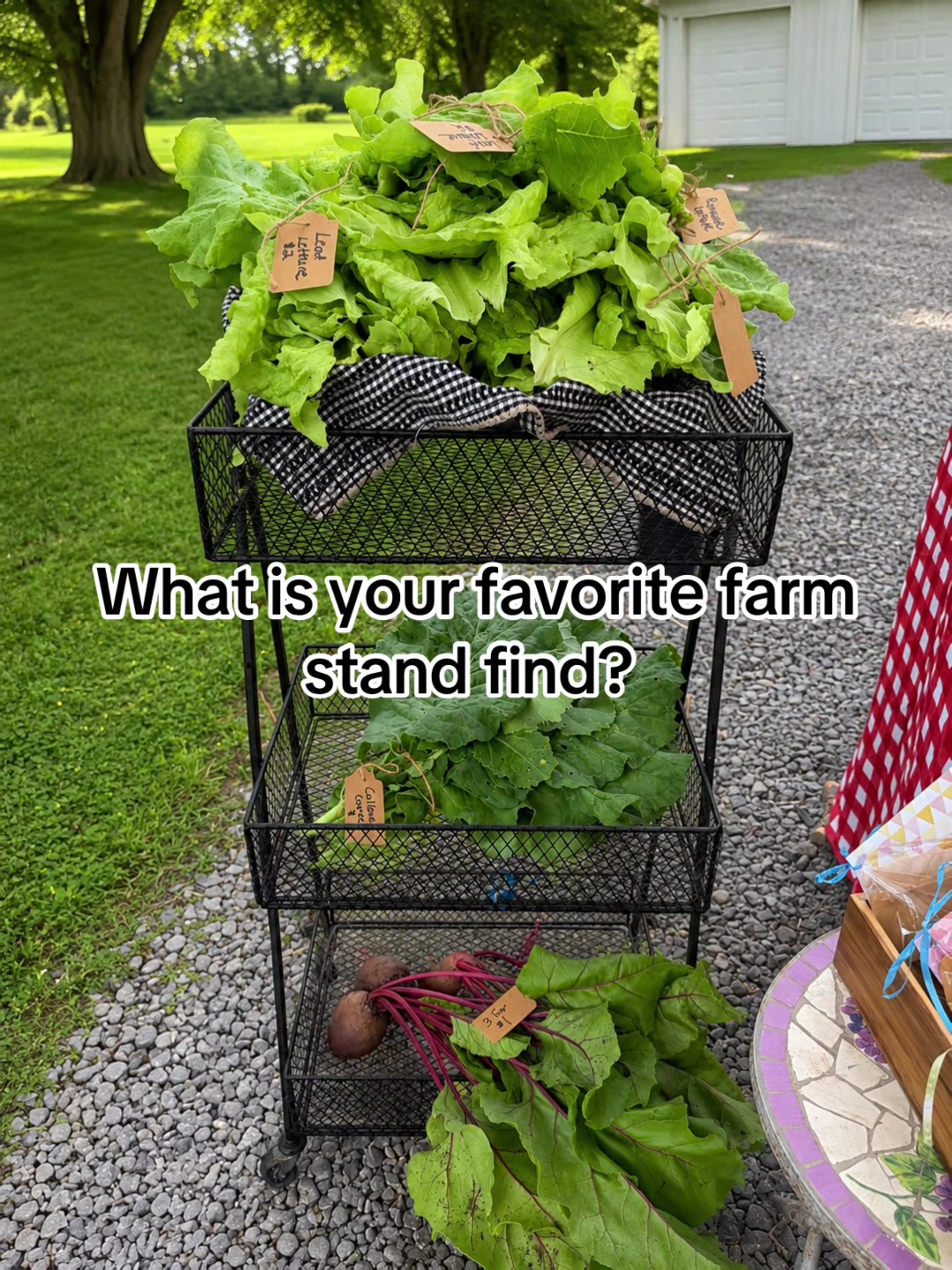 @Resistance Homesteaders