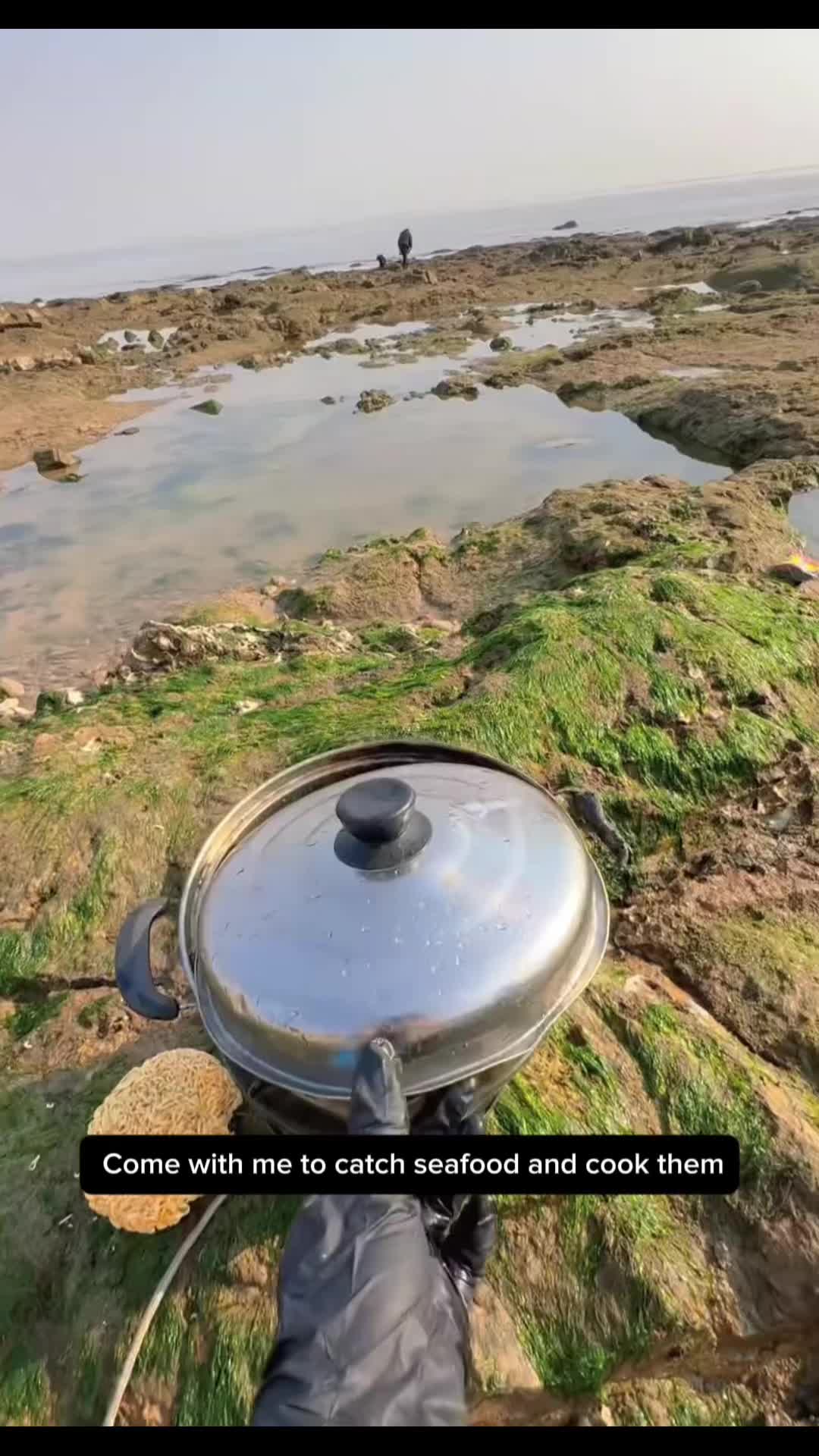 @Catch fish by hand