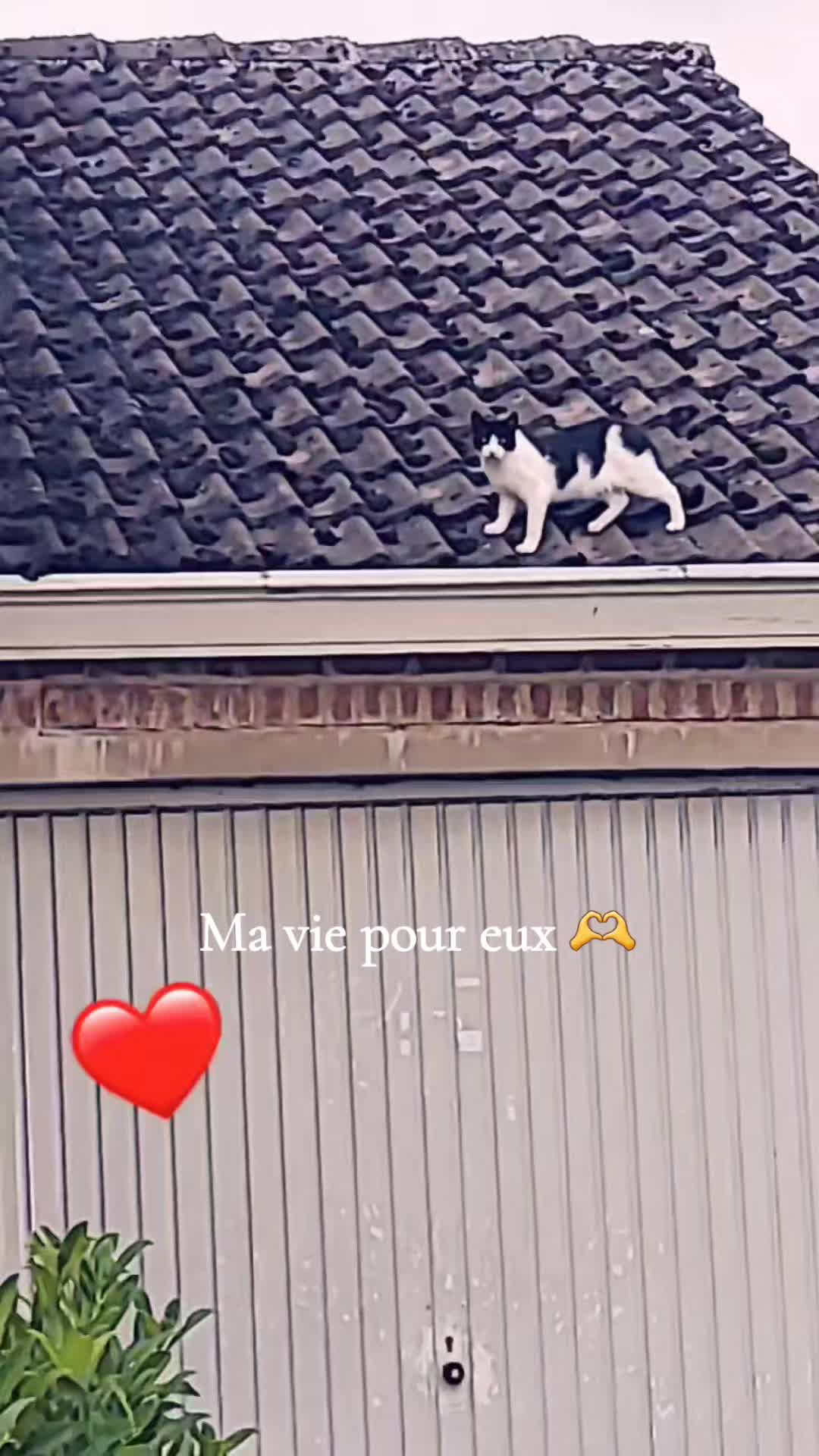 @Lodriguez Nadège