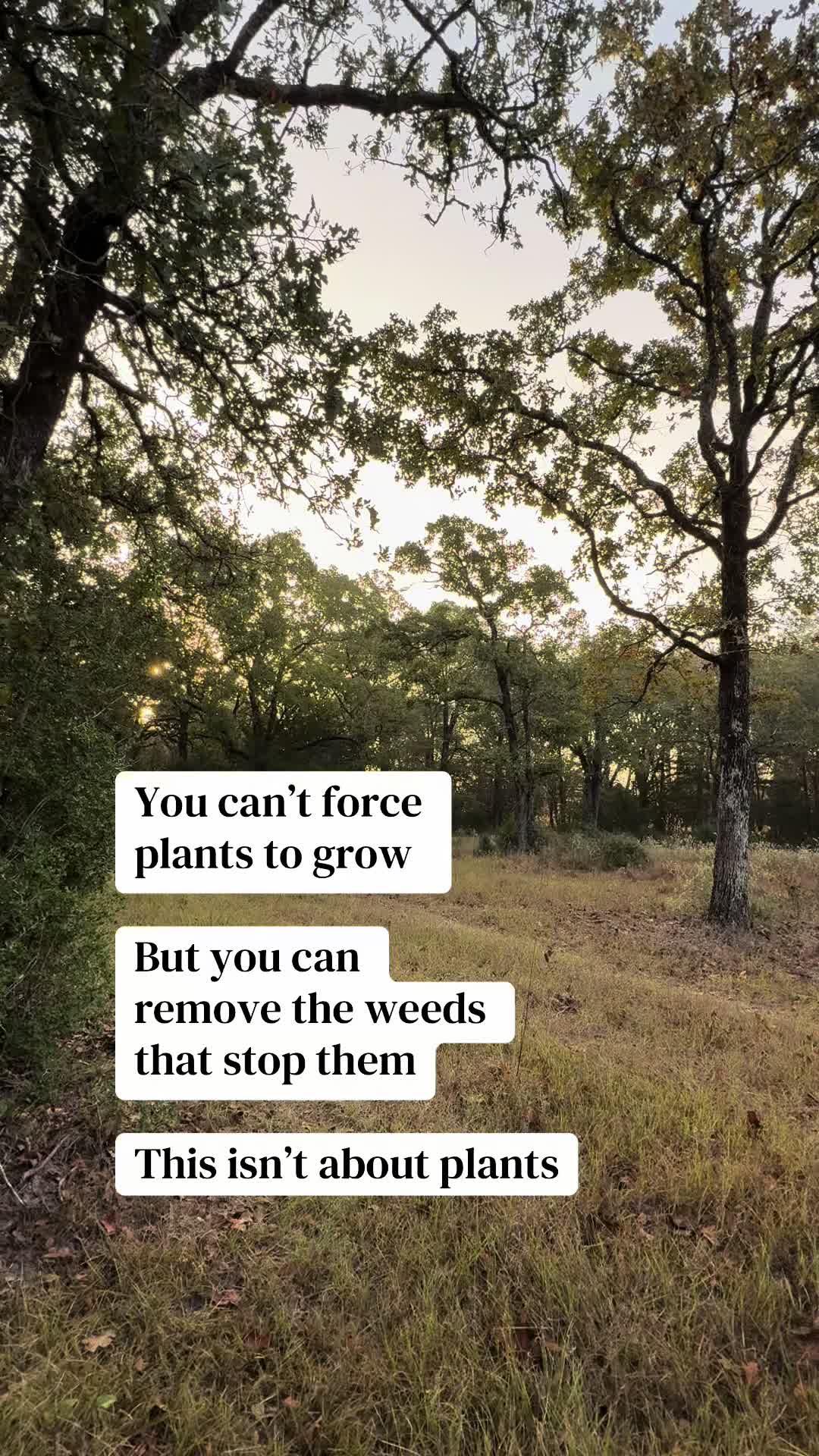 @Heather_plus_3