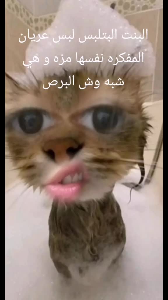 @dr