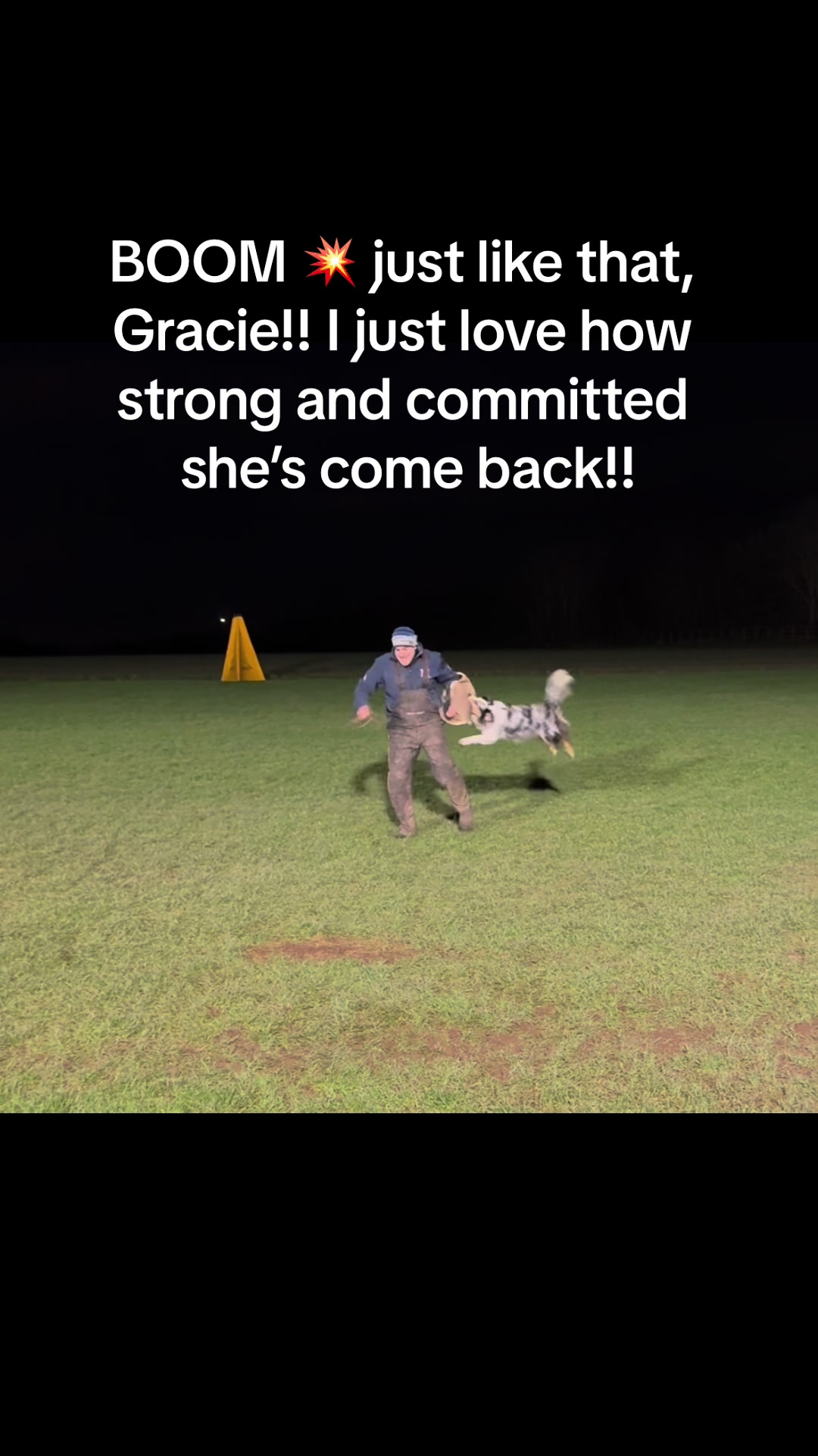 @thedogsportscoach