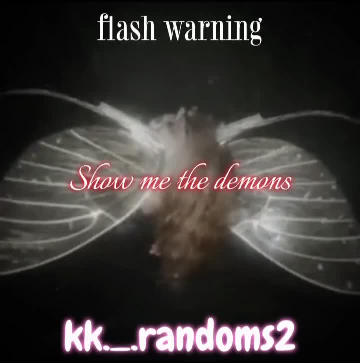 @🫧♡◌ძ᥆ᥙmᥲ's 1s𝗍 wife◌♡🫧