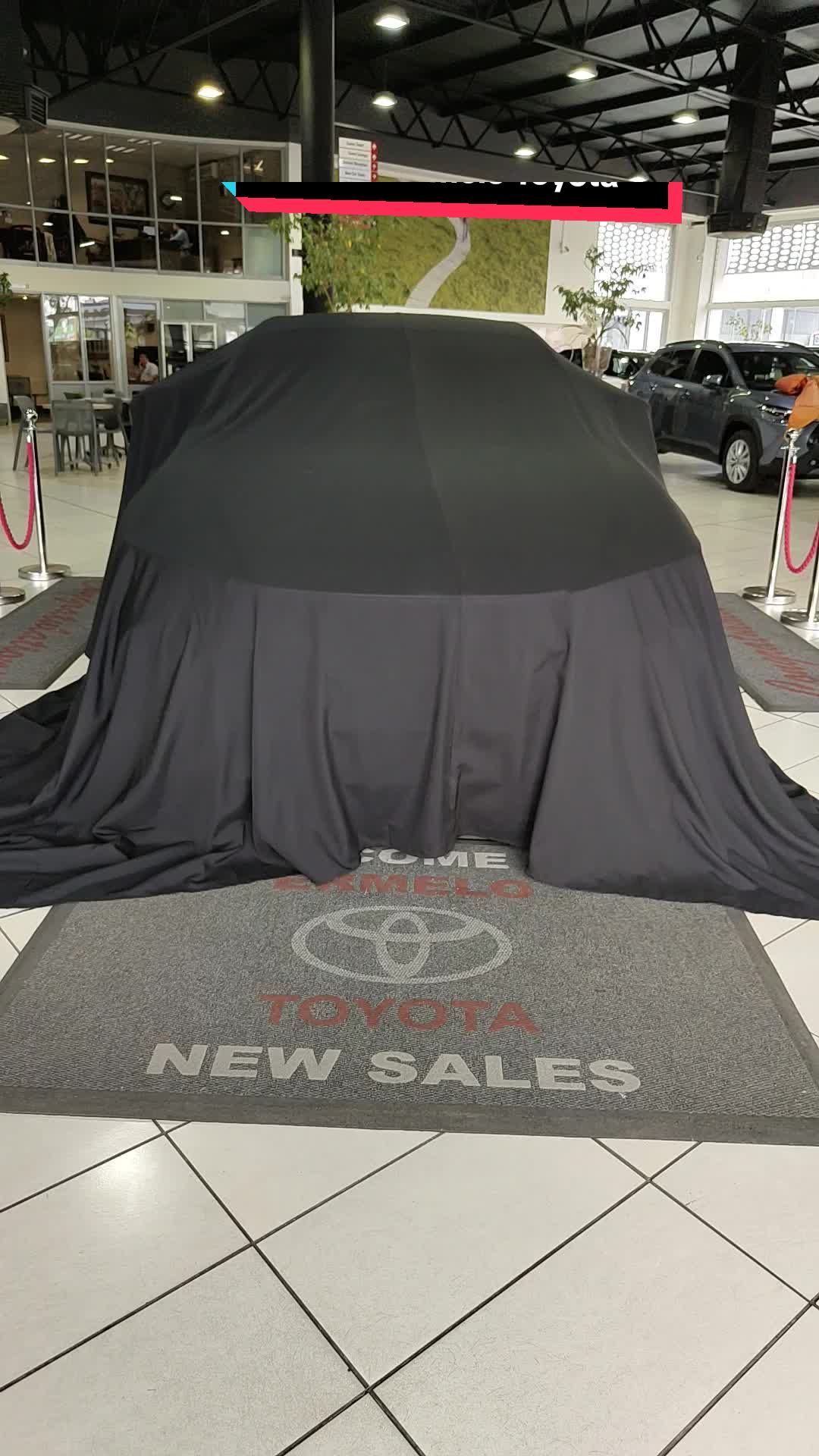 @Ermelo Toyota