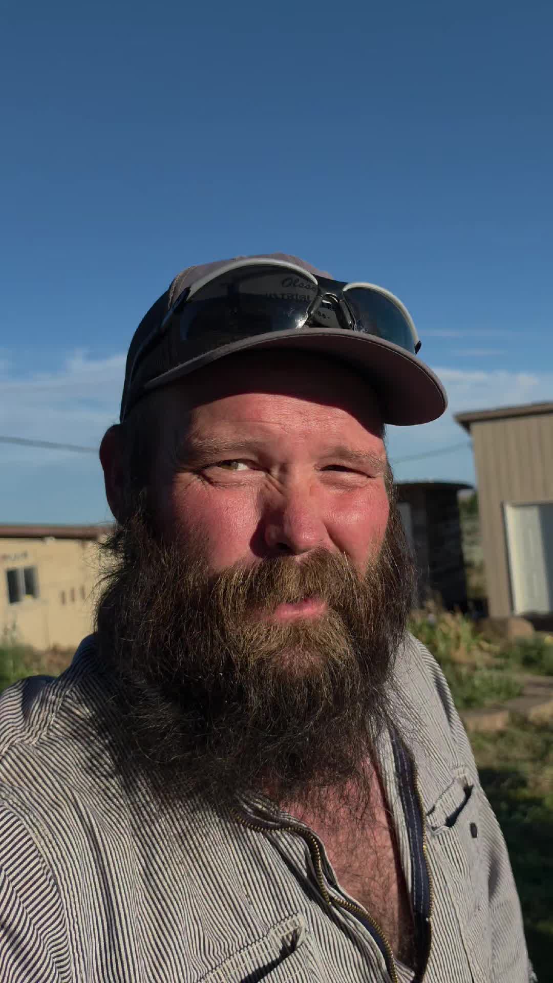 @thebeardedfamily1