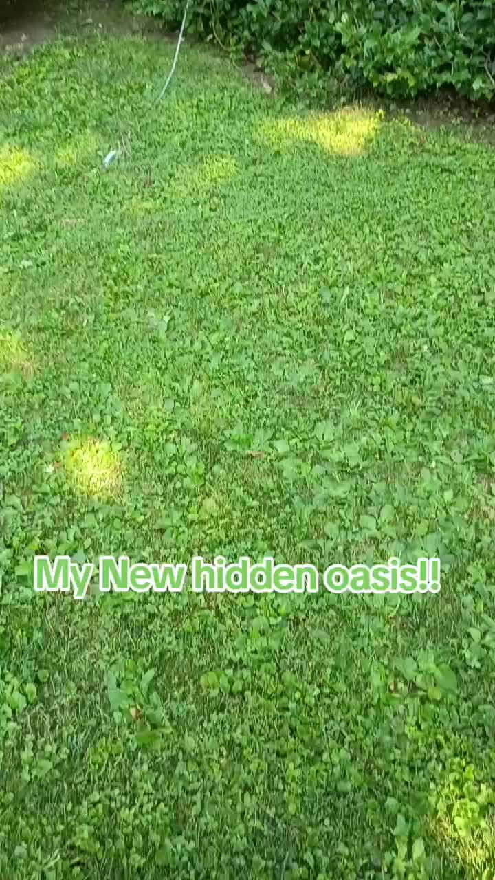 @robinsworld