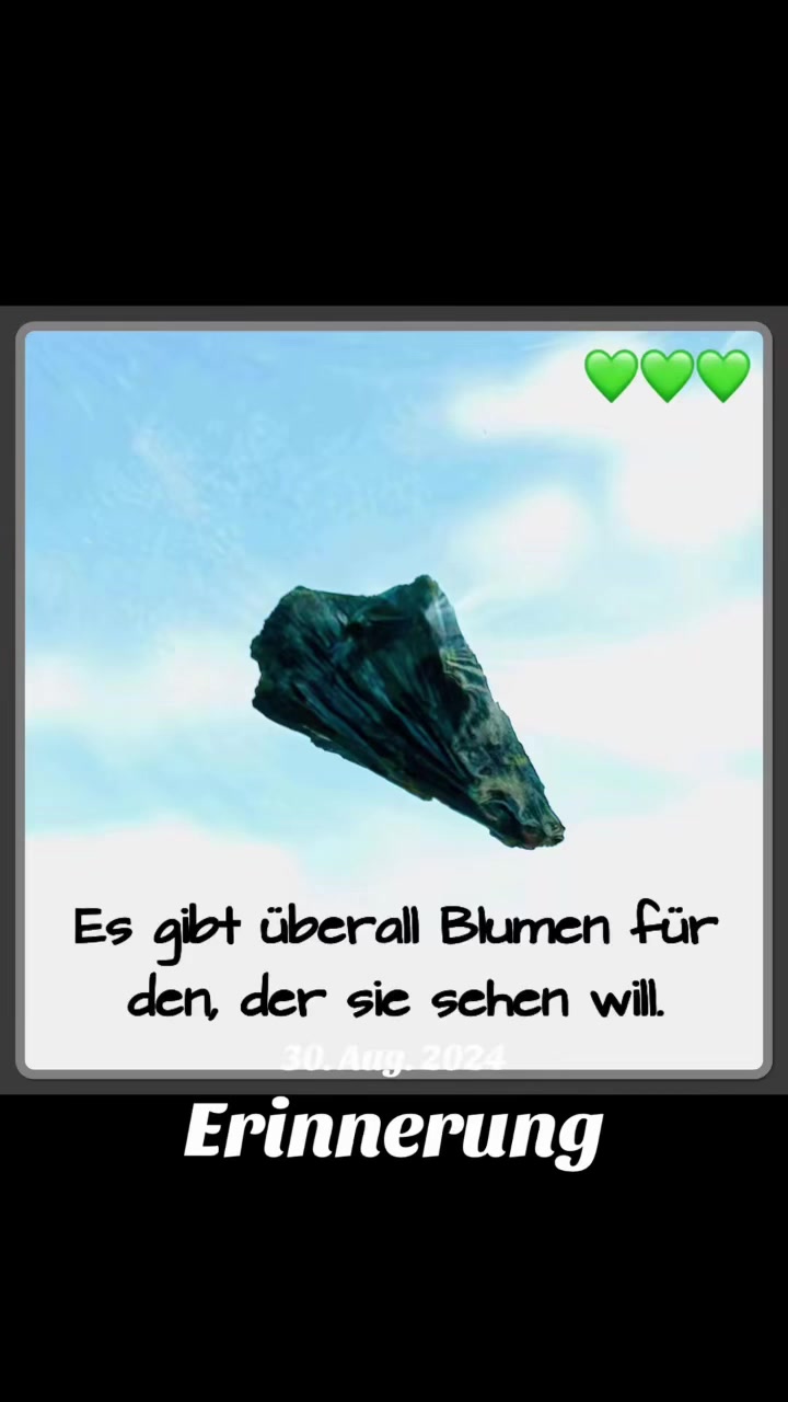 @🤍🦥🌿 TᗩᗰI 🌿🦥🤍