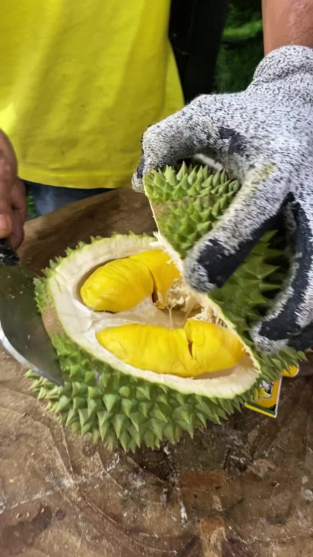 @Cicip Durian