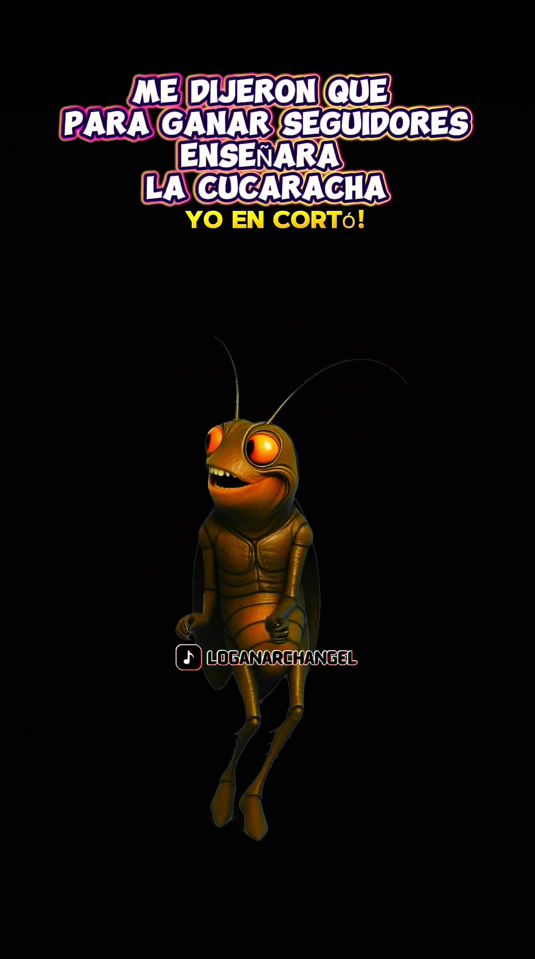 @Soraida