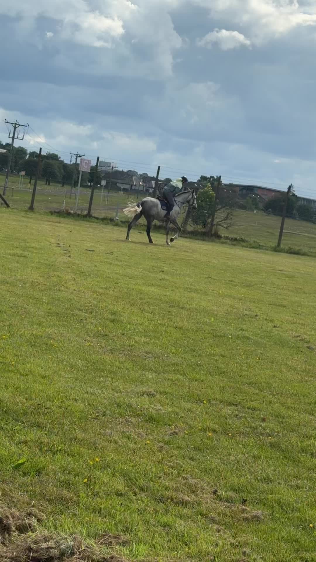 @RDHillEquestrian