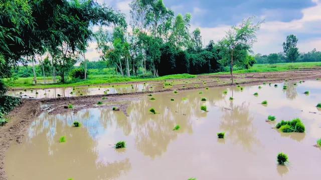 @Sahare Aalam Shekh