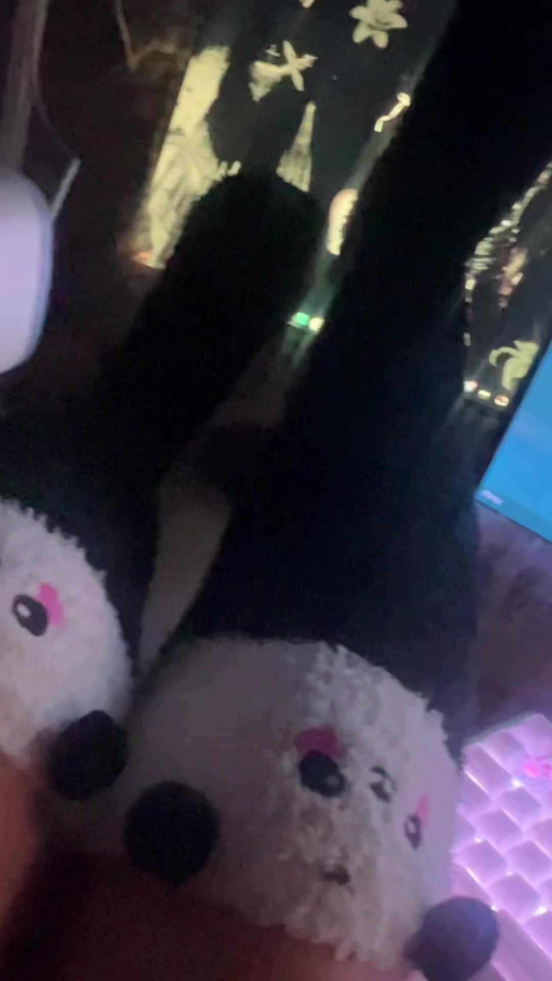 @rina 🐾