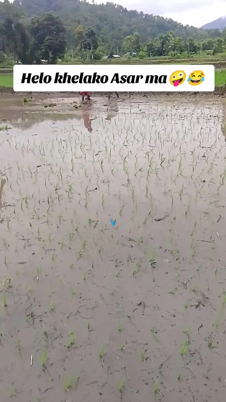 @kancha kancha