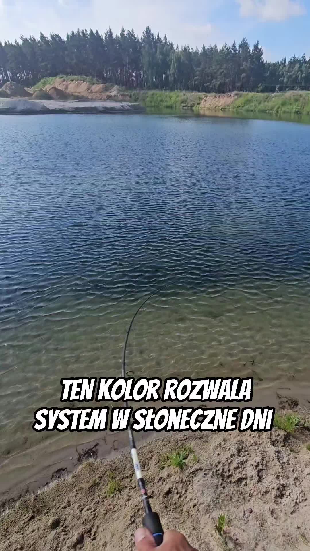@mfly_lures
