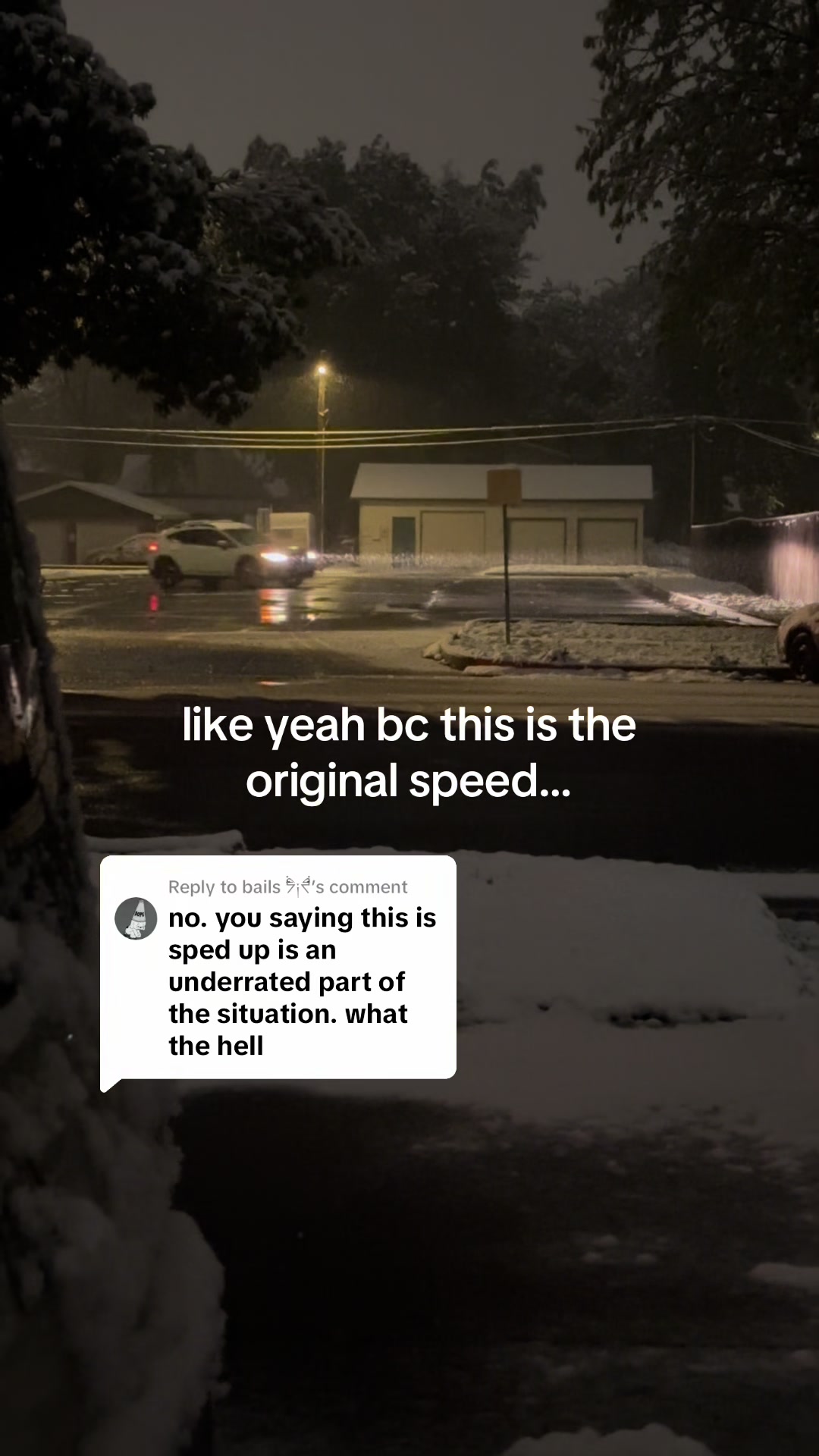 @lily