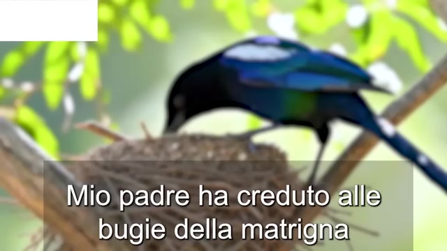 @Giuseppa Saluci