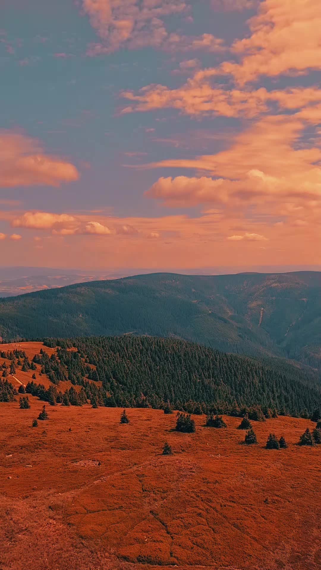 @SebekK🦜🐍...🧗🏔🩵⛰️.🚵♂️🔥