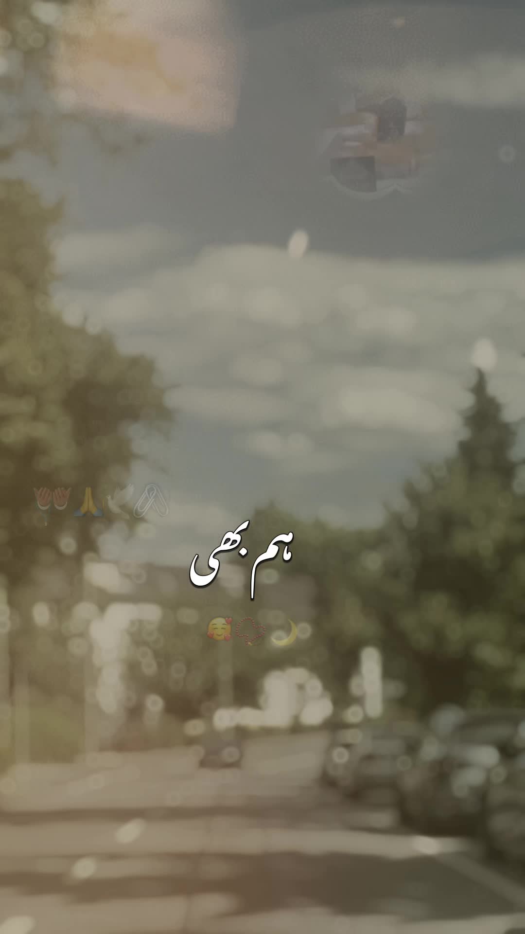 @Saba