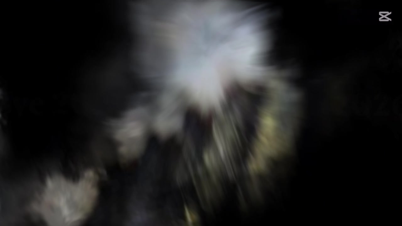 @𝐼𝓉𝓈___𝒮𝒜𝐻𝒾ل🐺🪽.....>]