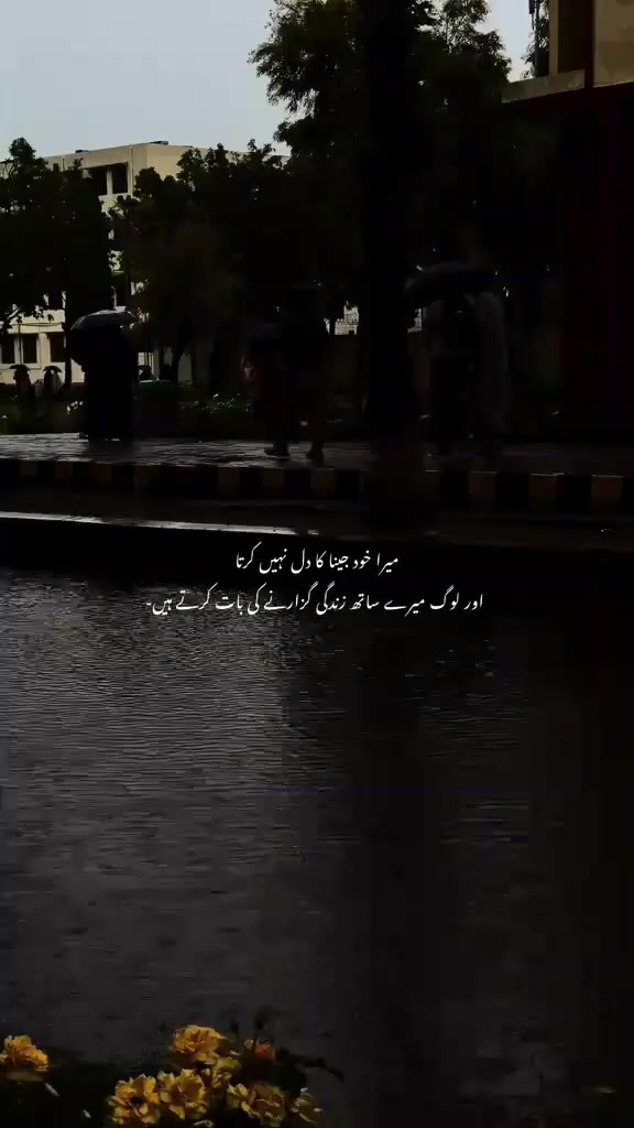 @saqlain 556 ala