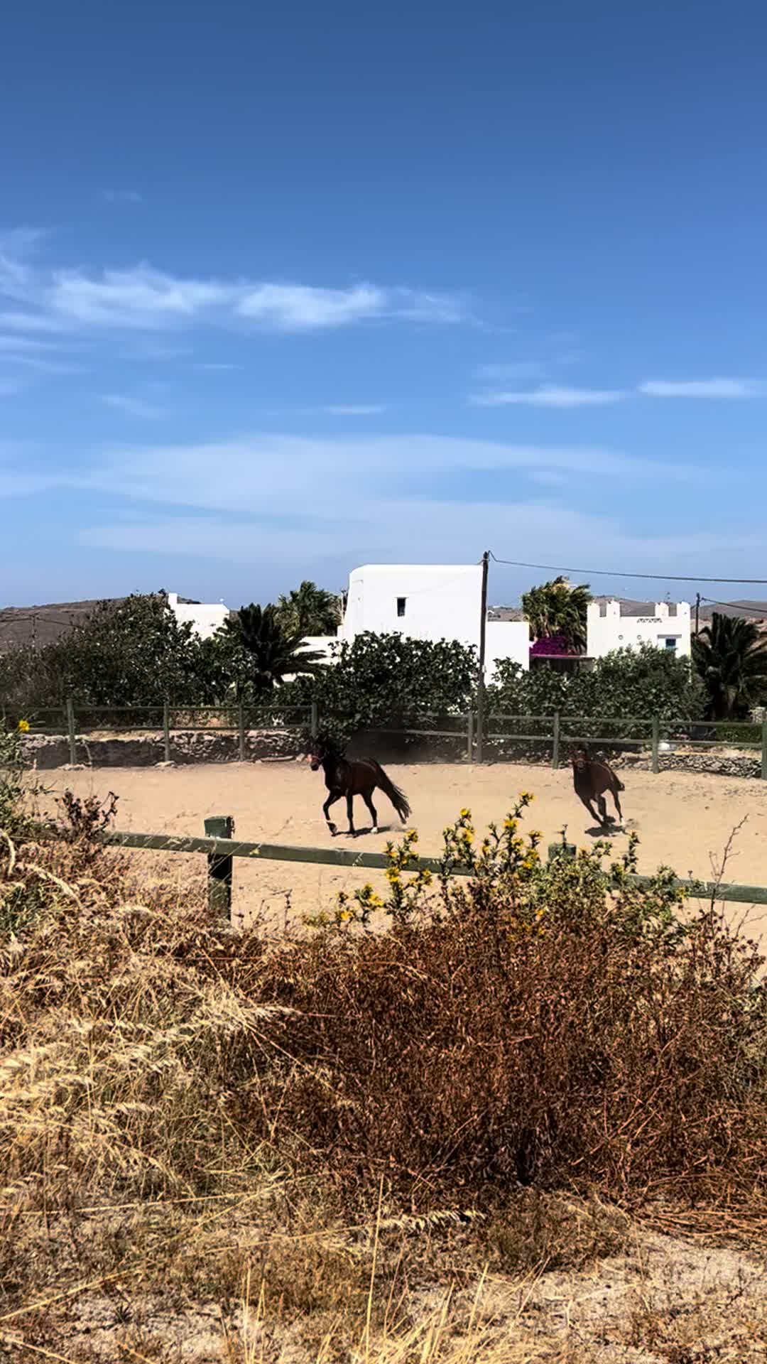 @Qari hanjra