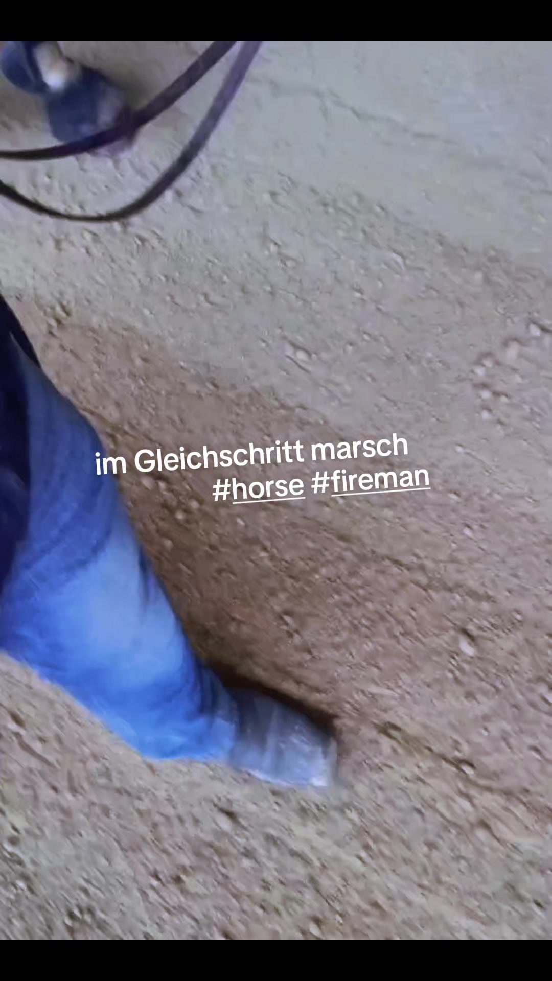 @Thomas Hephaistos