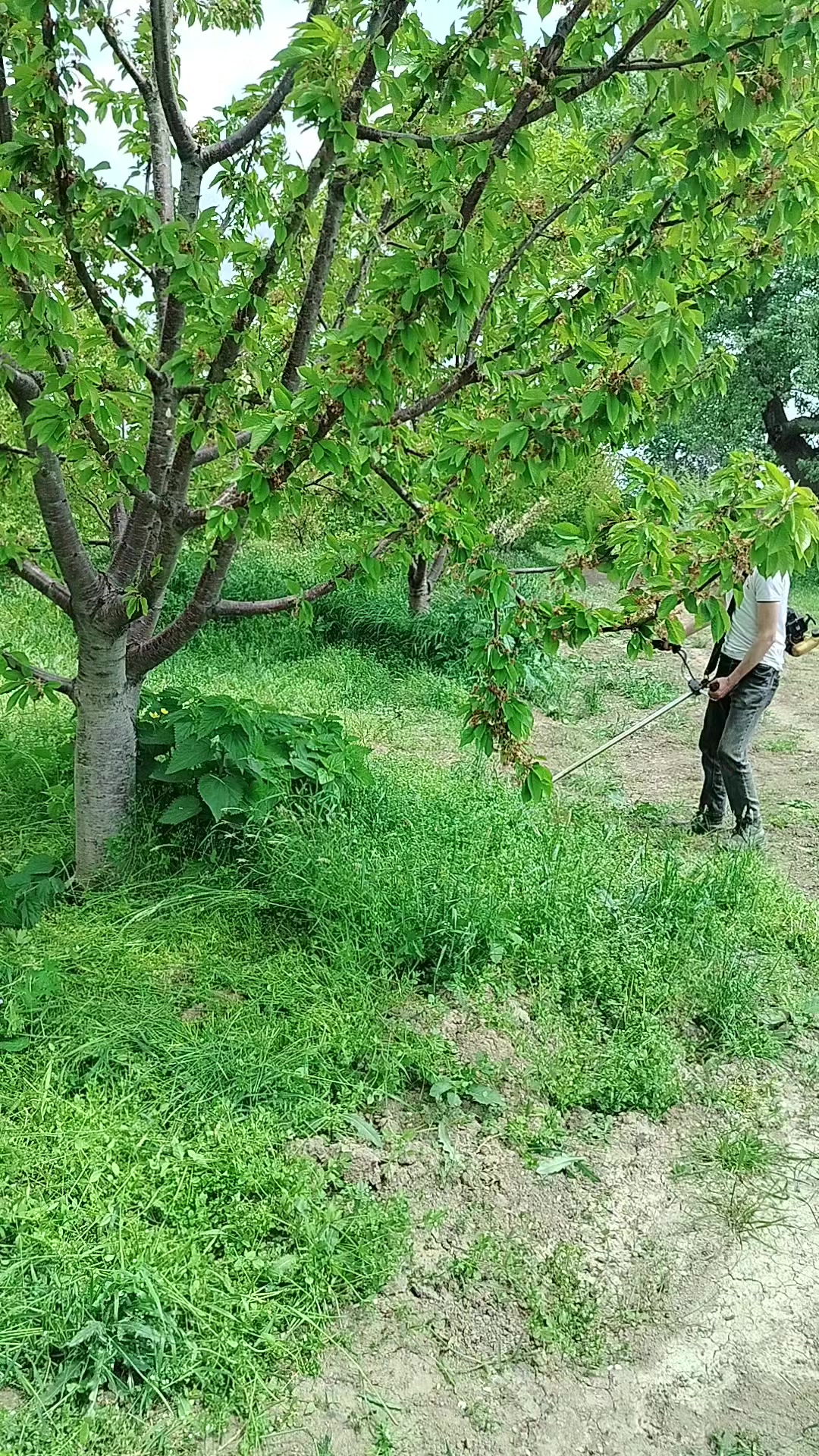 @Саид04