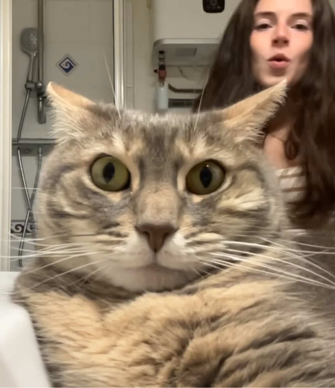 @Le_drama.cat 🇫🇷