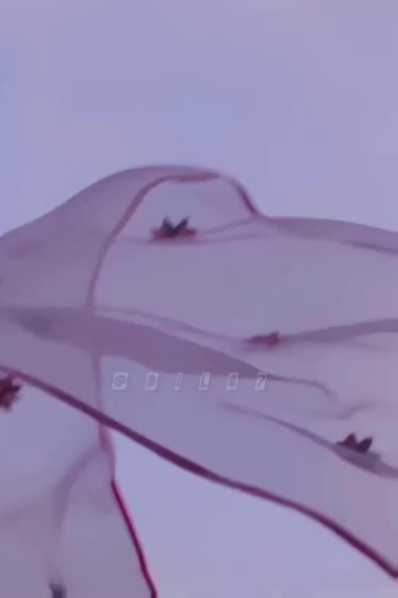 @البــلوشــــــي