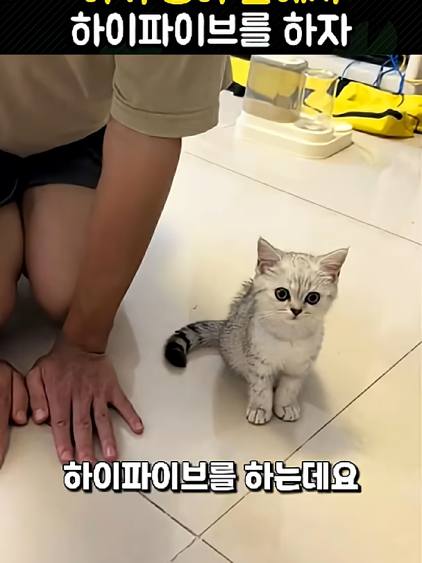 @개블리