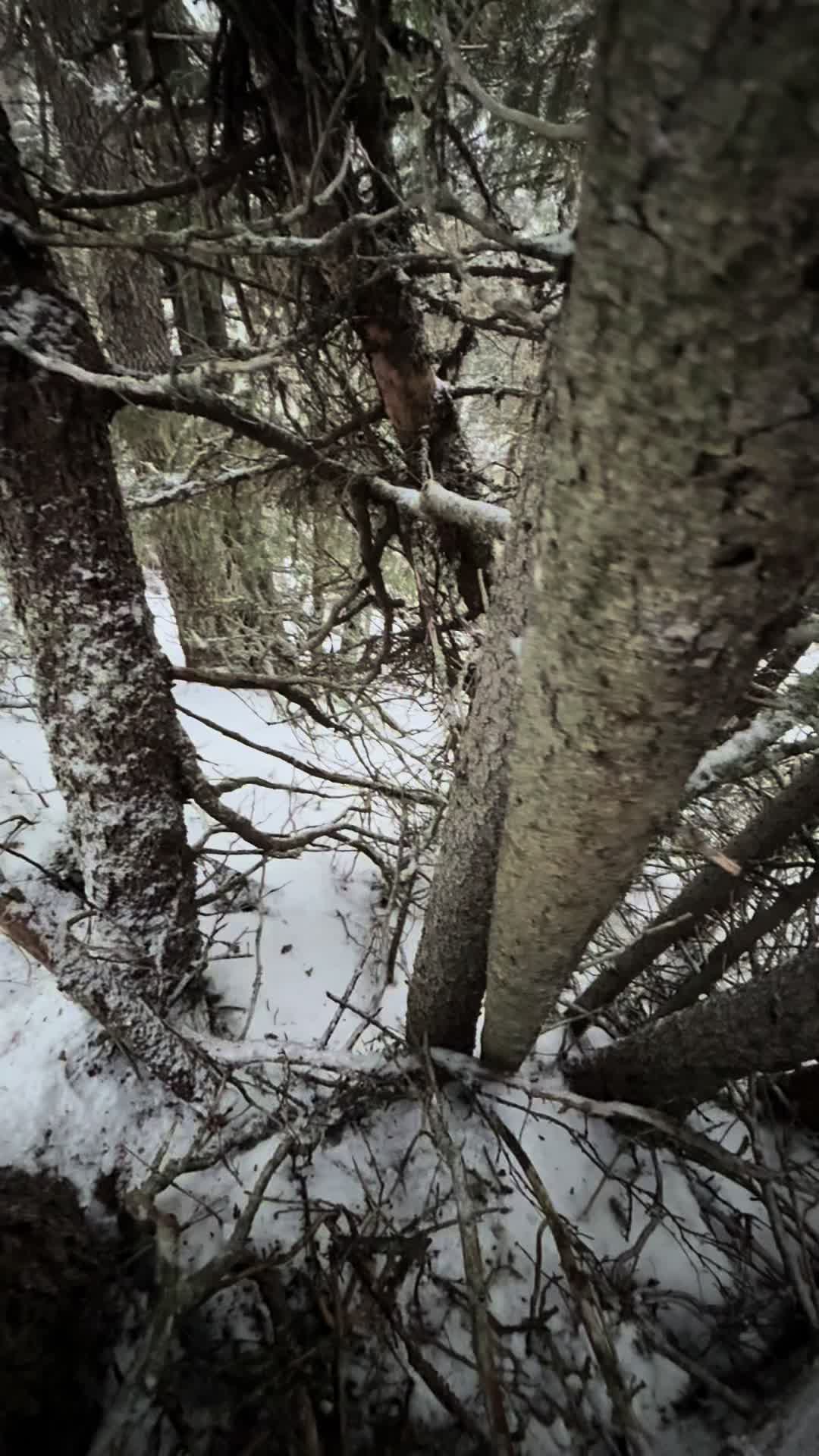 @Jocke Jönsson