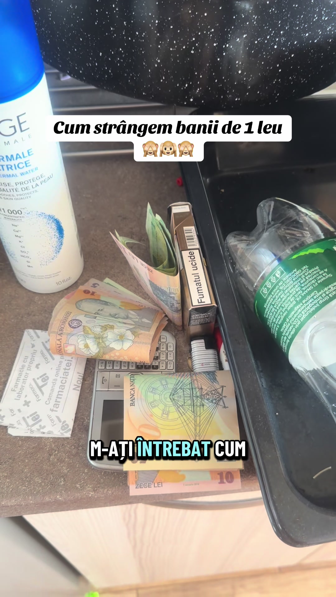 @Diana Ciortan Sphynx Romania