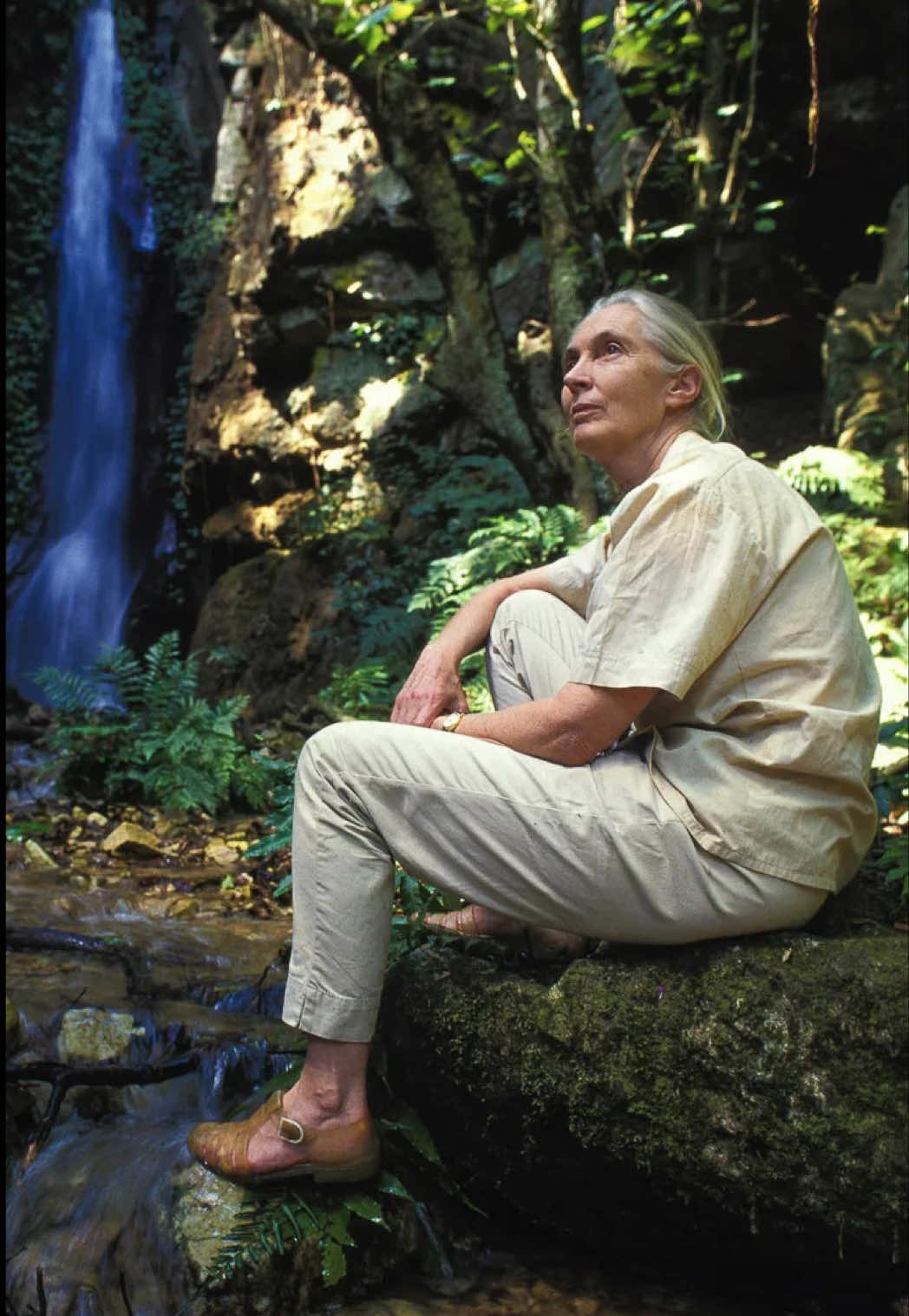 @Jane Goodall Institute 🇨🇦