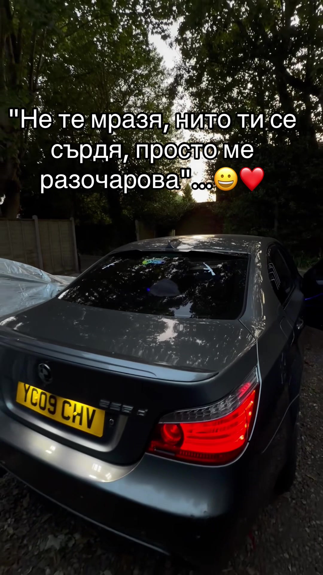 @⚡️🦁Георги🦁⚡️