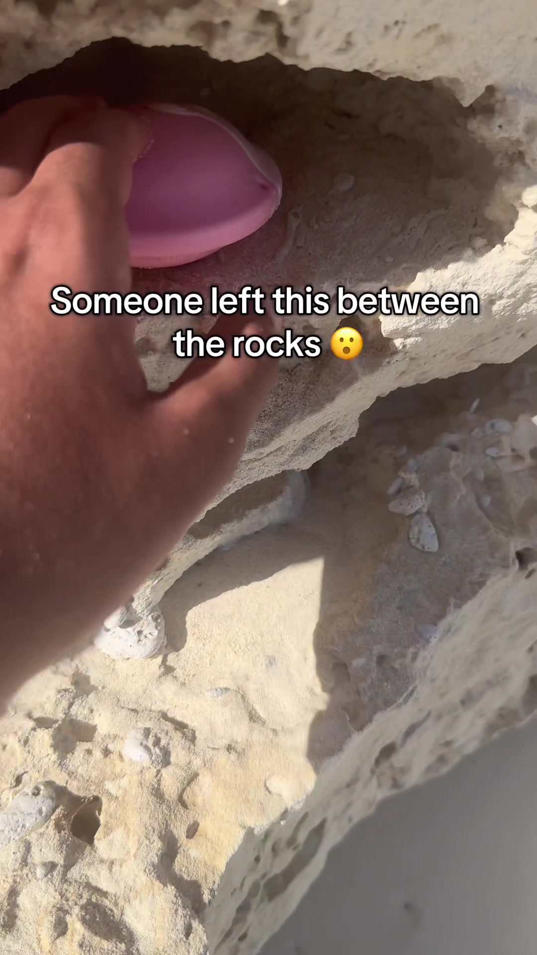 @sunsnap33