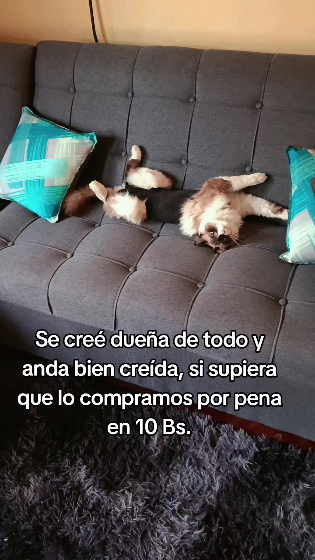 @Mariela Mariscal