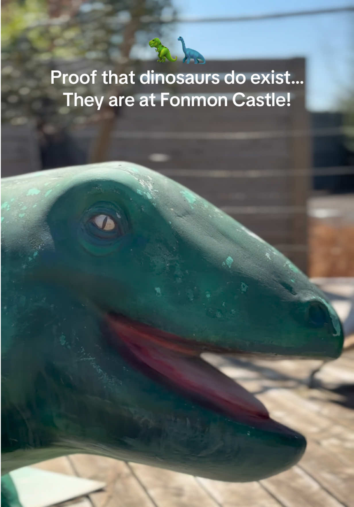 @Fonmon Castle