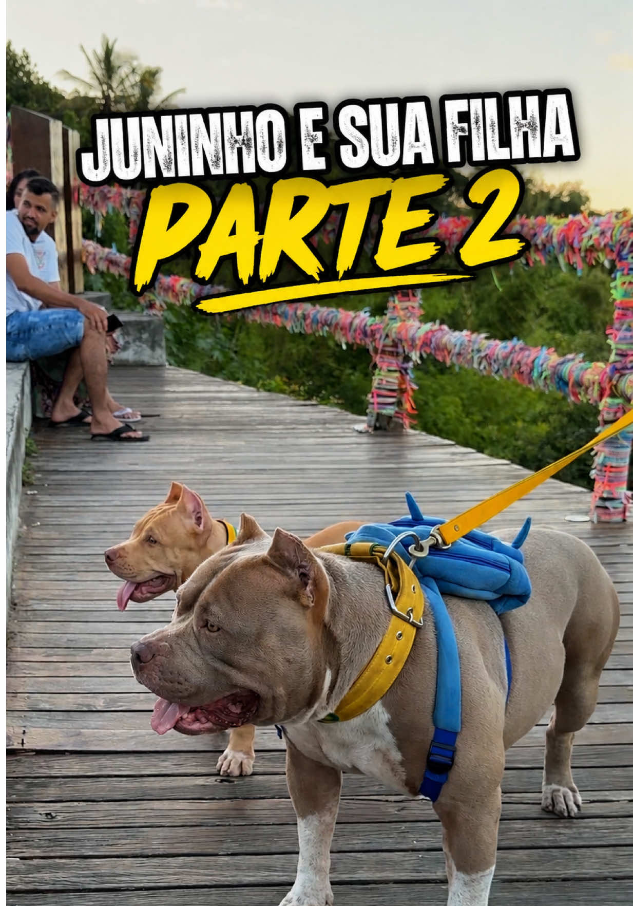 @Família Ragnar 🐶