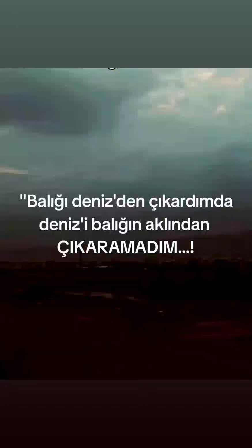 @M&uuml;cahit Korkut