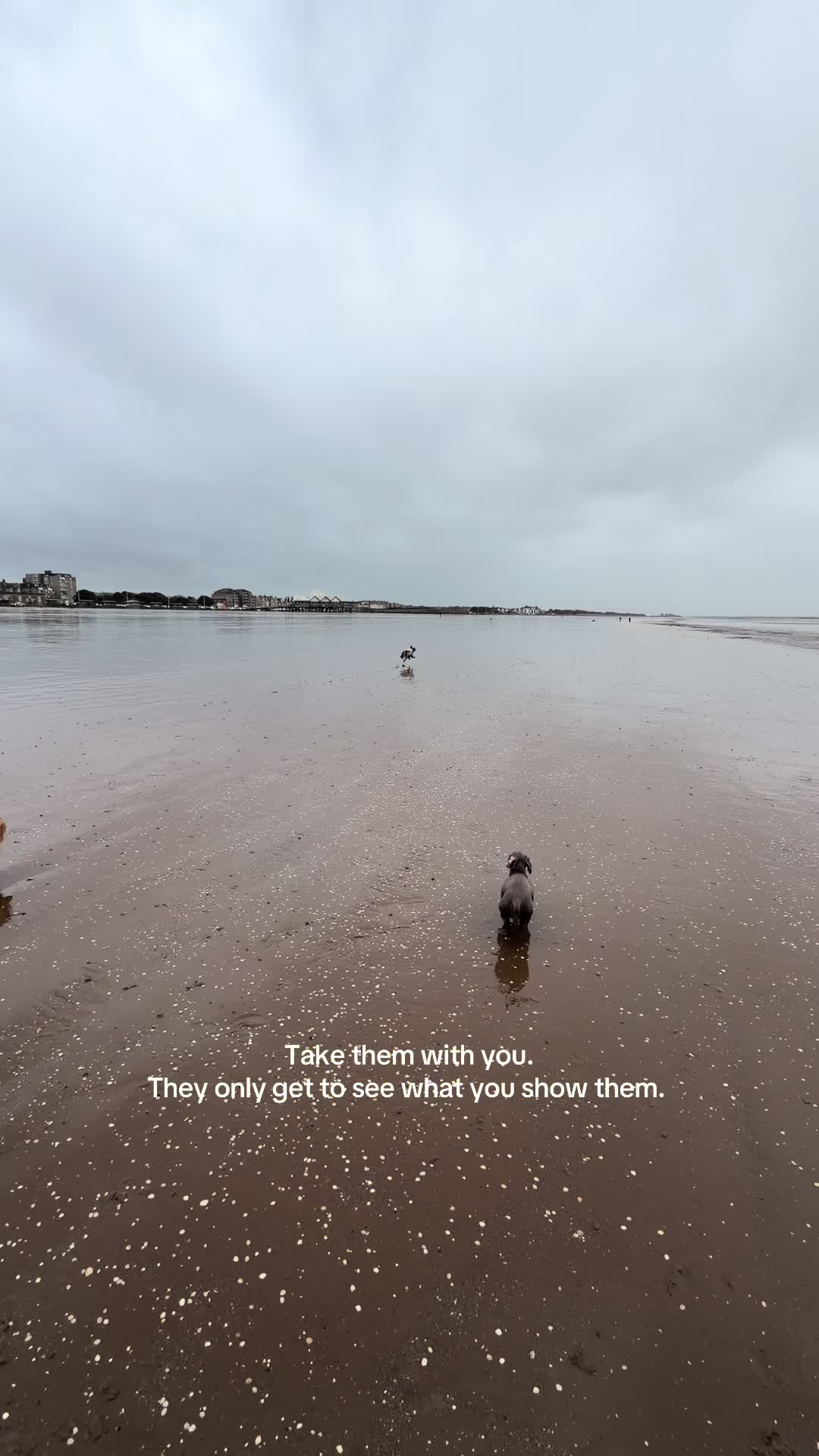 @lucyl.r