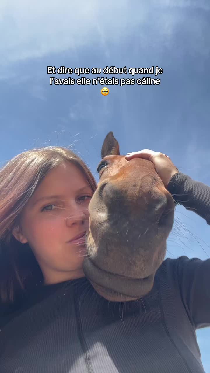 @Jajaland