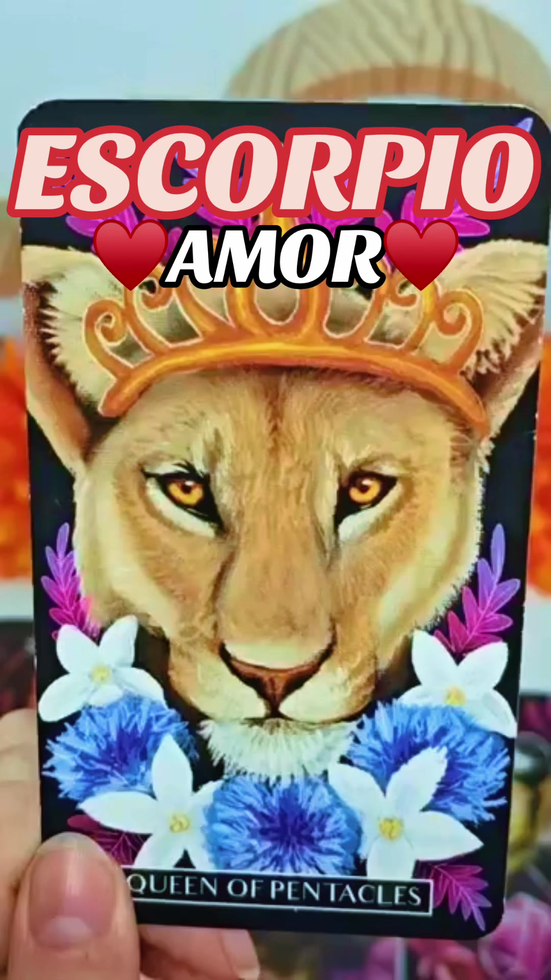 @Daniela Tarot