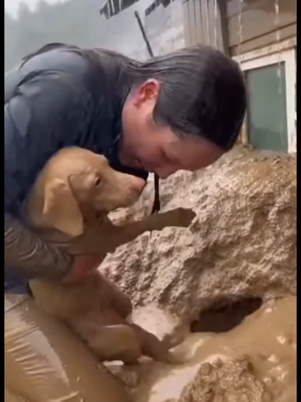 @animalslife2026