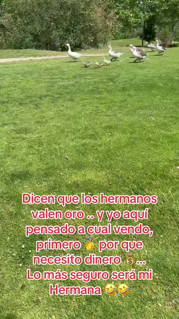 @Elsita Bejarano
