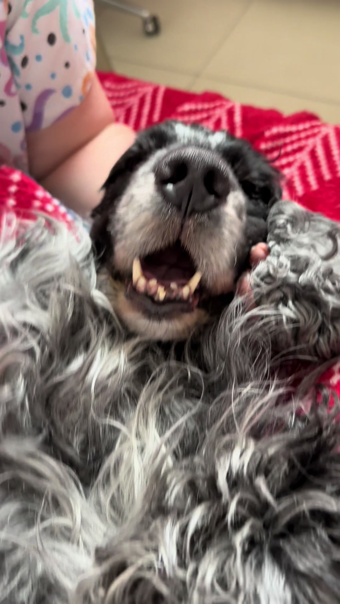@Náš veterinář
