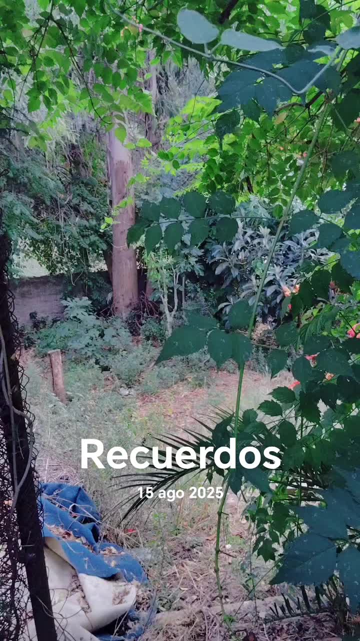 @🍀💚 Yanet