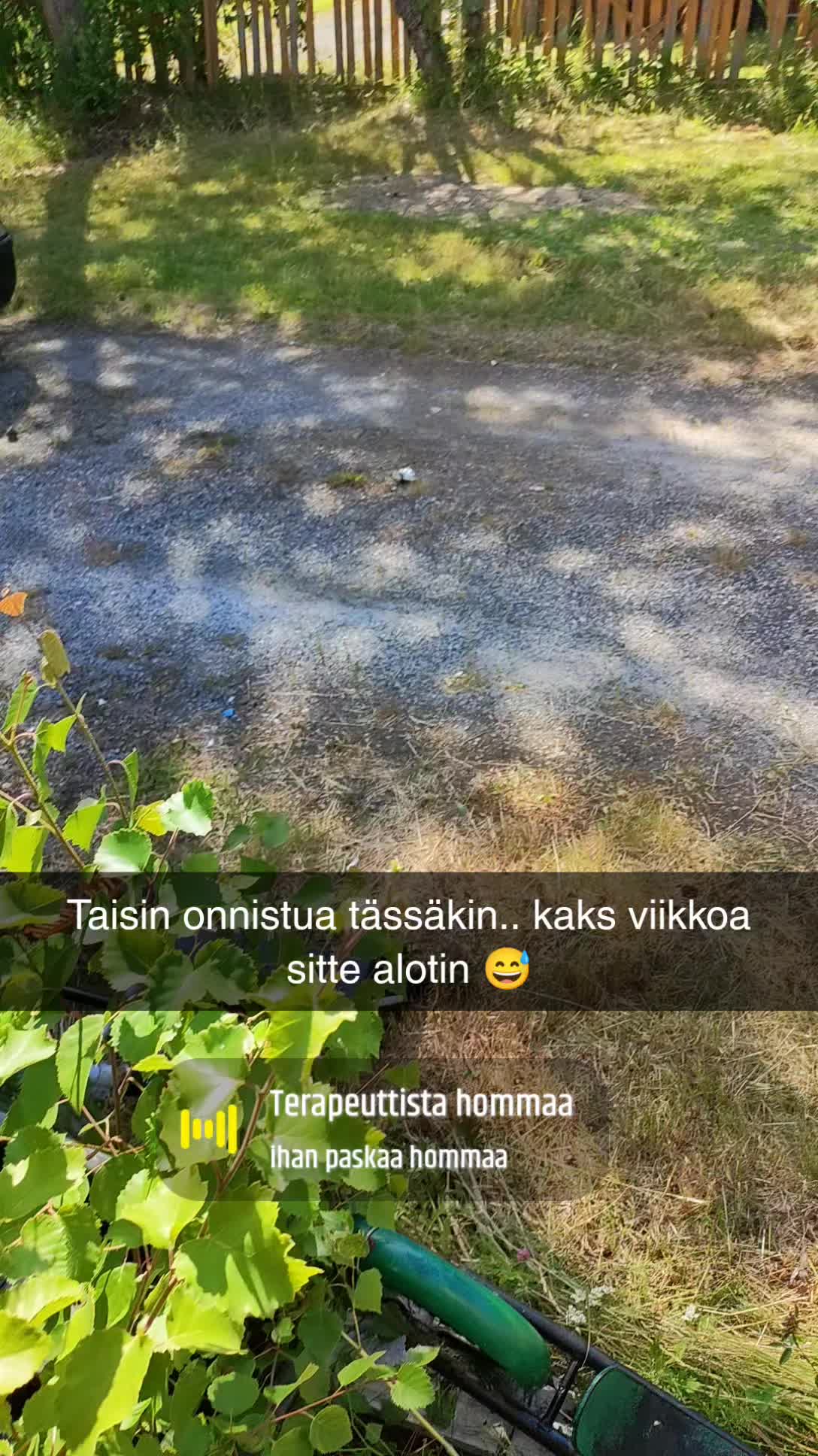 @Mirmeli