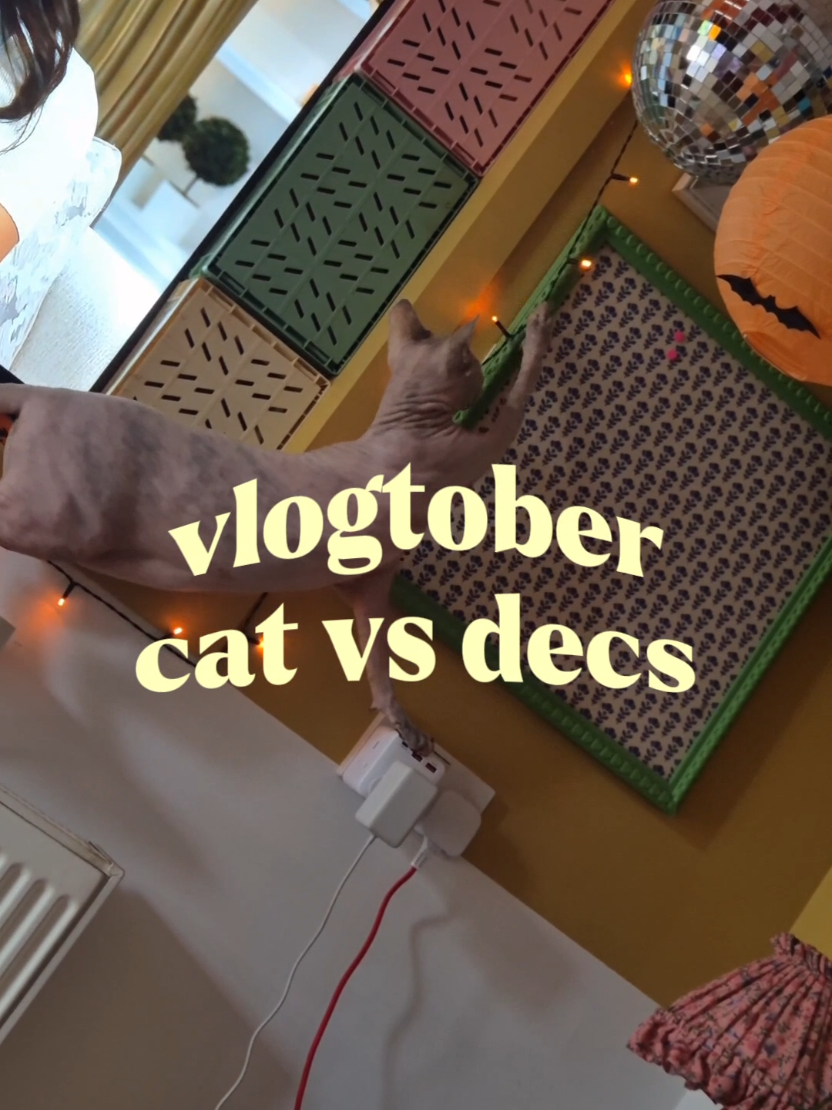 @cloe 🍋🍿🎃